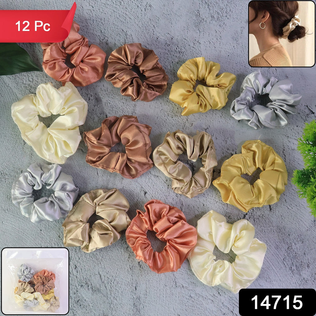 Premium Satin Hair Scrunchies  Elastic Hair Ties For Women  Girls (12 Pc)