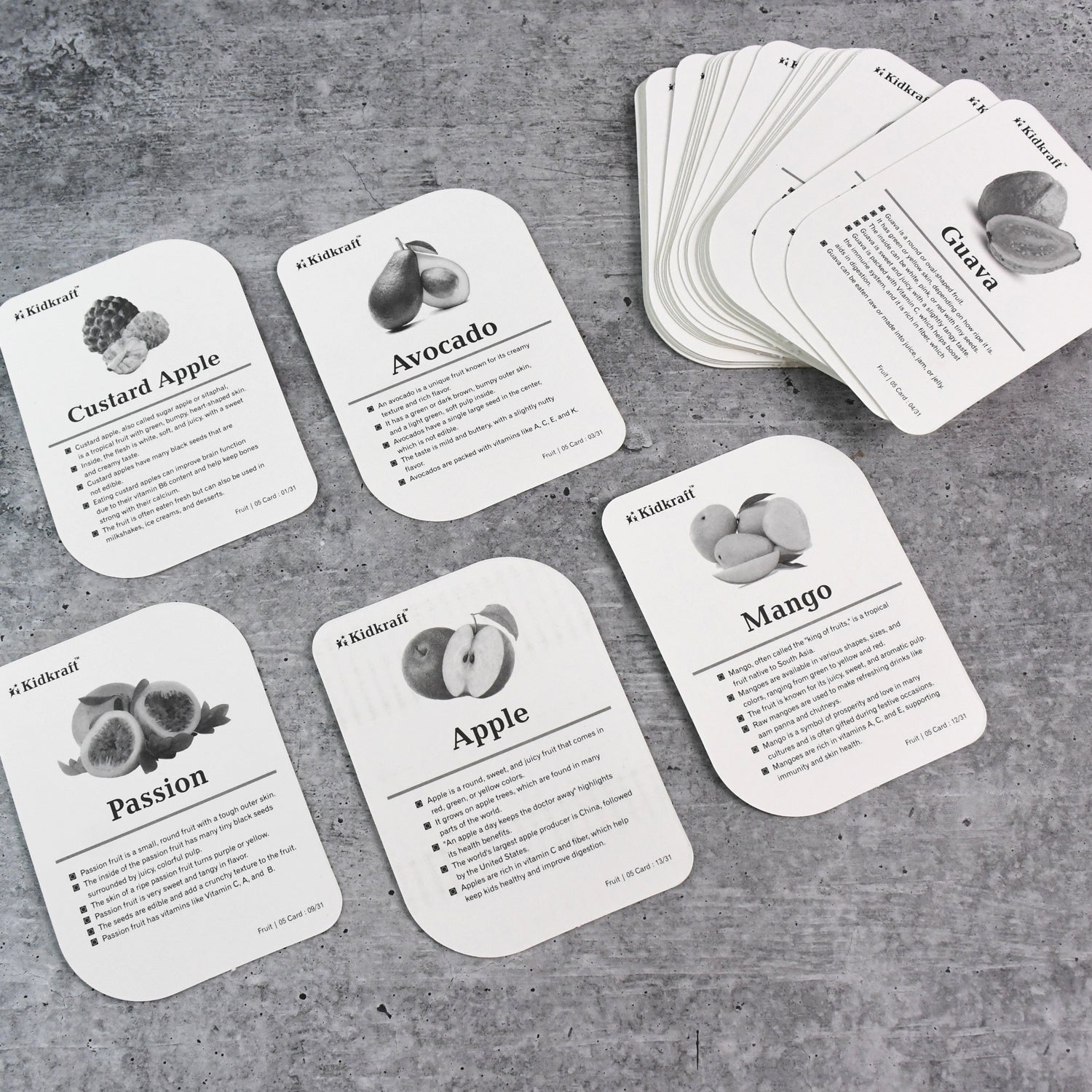 Kidkraft Early Learner Educational Flashcards  32 Birds